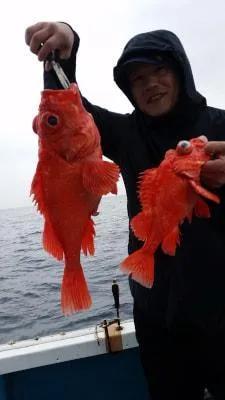 2018年5月28日の釣果・お知らせの写真 3