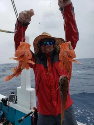 2019年6月2日の釣果・お知らせの写真 3
