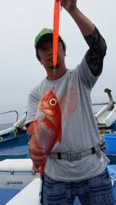2017年7月7日の釣果・お知らせの写真 3