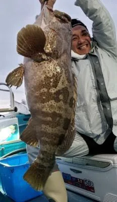 2018年11月19日の釣果・お知らせの写真