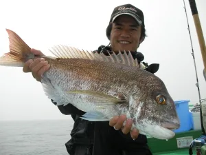 2010年5月4日の釣果・お知らせの写真
