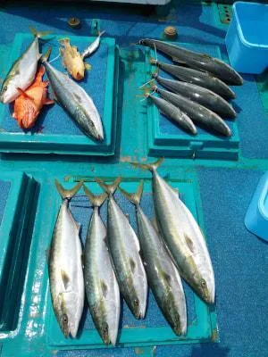 2021年5月4日の釣果・お知らせの写真 3