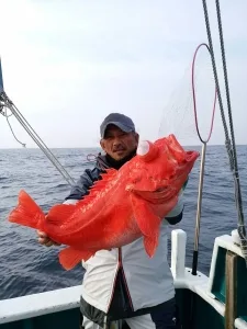 2017年1月29日の釣果・お知らせの写真 1