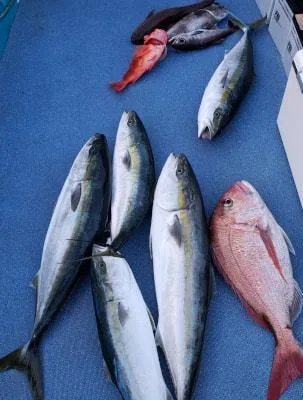 2021年5月9日の釣果・お知らせの写真