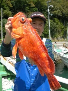 2010年4月6日の釣果・お知らせの写真 1