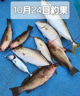 2024年10月25日の釣果・お知らせの写真 9