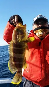 2016年12月21日の釣果・お知らせの写真 3