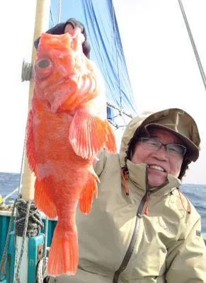 2022年3月20日の釣果・お知らせの写真 1