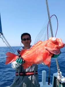 2017年5月20日の釣果・お知らせの写真