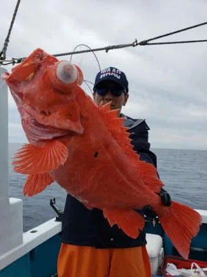 2021年6月6日の釣果・お知らせの写真