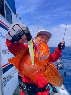 2026年4月19日の釣果・お知らせの写真