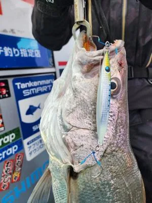 2024年1月20日の釣果・お知らせの写真 3