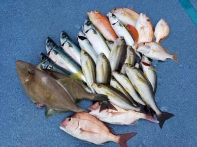 2022年11月20日の釣果・お知らせの写真 4