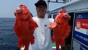 2017年5月11日の釣果・お知らせの写真 2