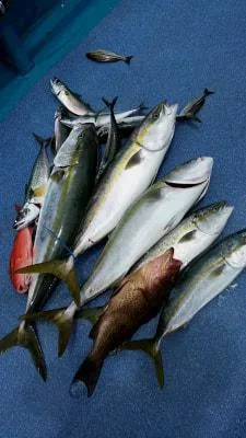 2018年7月12日の釣果・お知らせの写真 2