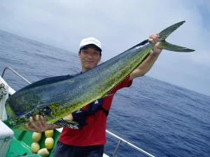 2006年6月27日の釣果・お知らせの写真