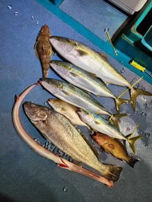 2026年1月7日の釣果・お知らせの写真 4