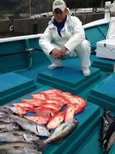 2016年3月9日の釣果・お知らせの写真
