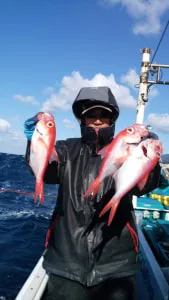2018年1月13日の釣果・お知らせの写真 2