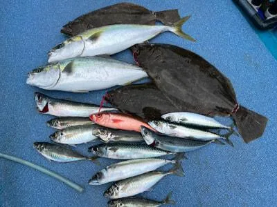 2022年4月28日の釣果・お知らせの写真 6