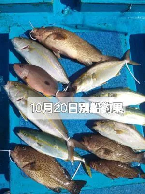 2024年10月25日の釣果・お知らせの写真 4