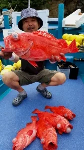 2016年7月3日の釣果・お知らせの写真 4