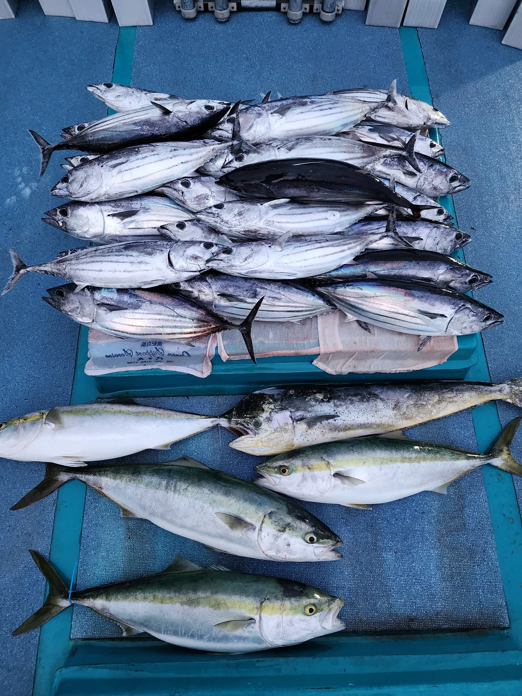 2024年05月04日掲載の釣行記録の写真 2