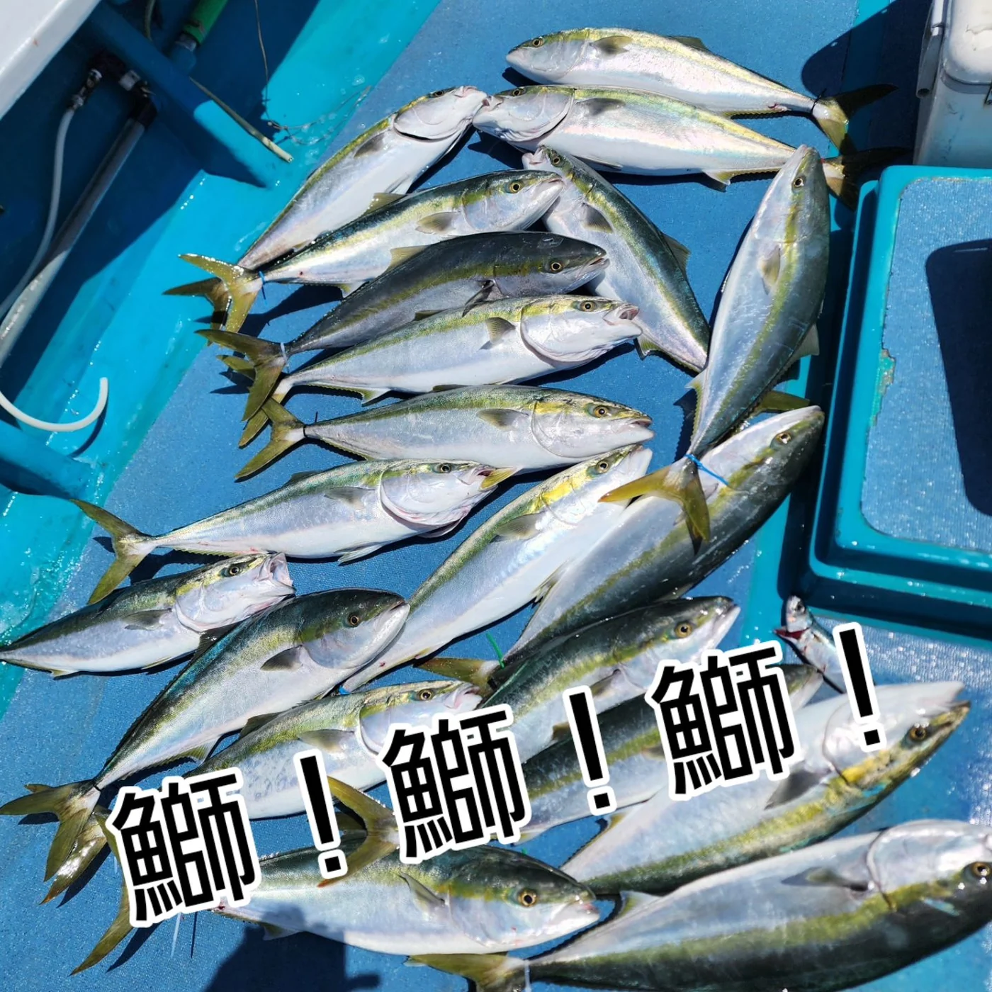2025年05月06日掲載の釣行記録の写真