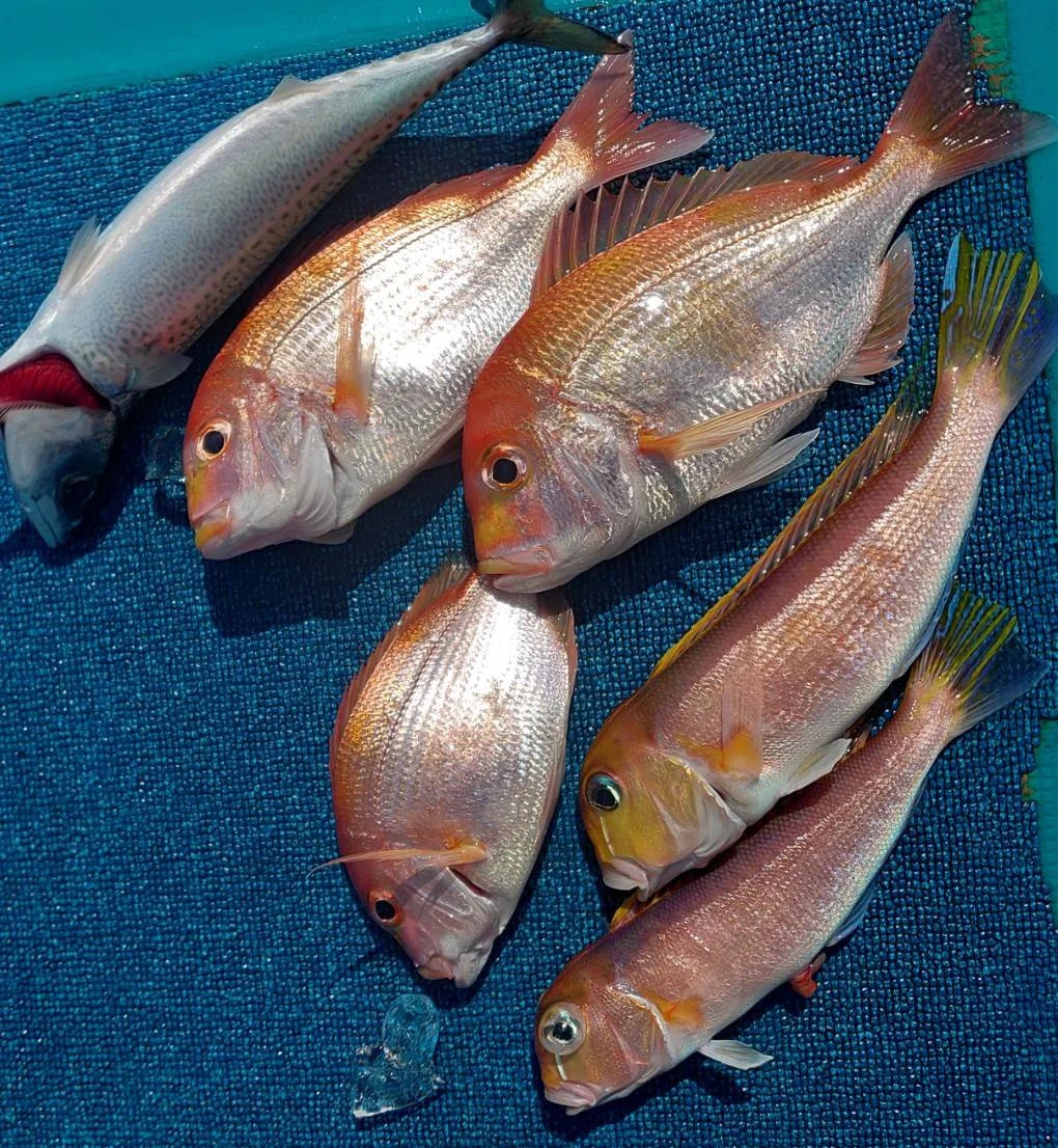 2024年02月29日掲載の釣行記録の写真