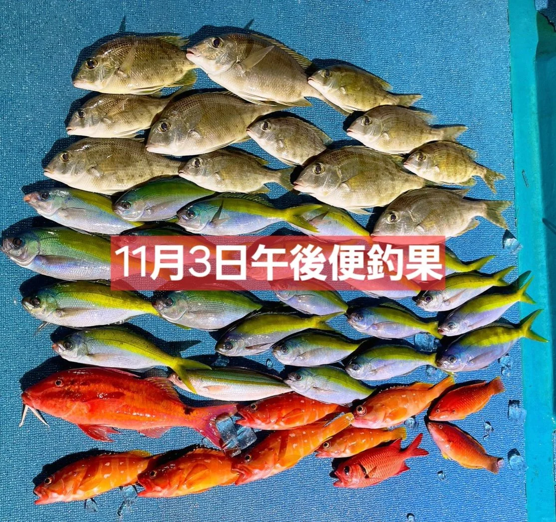 2025年11月19日掲載の釣行記録の写真 6