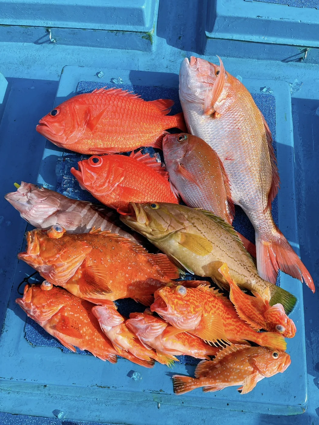 2023年12月25日掲載の釣行記録の写真