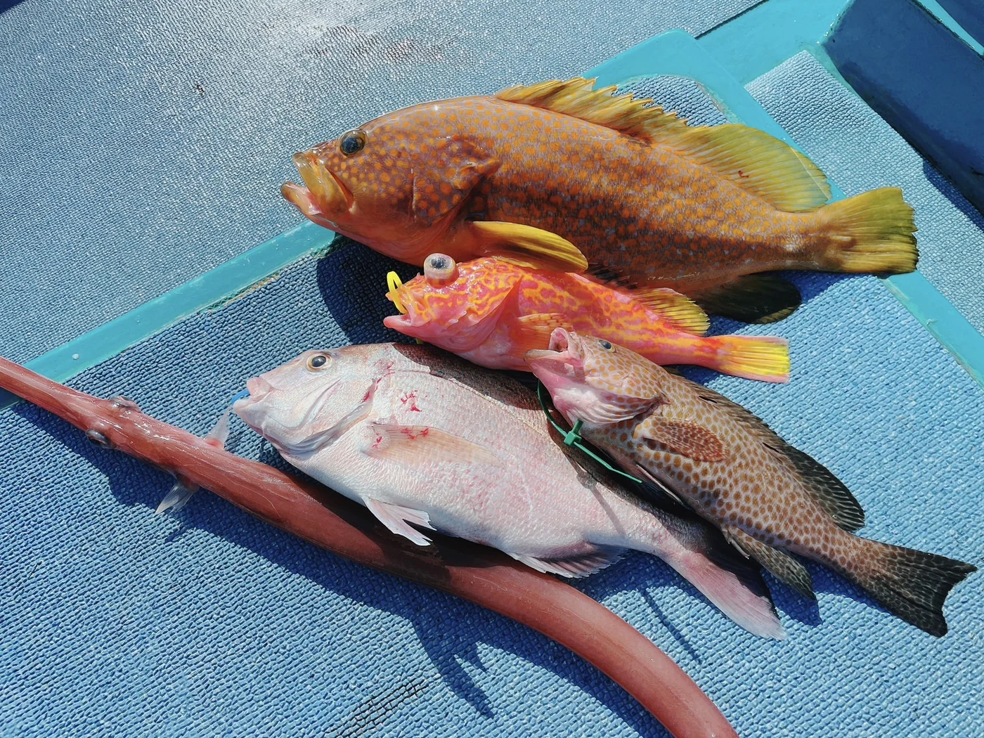 2024年01月04日掲載の釣行記録の写真 10