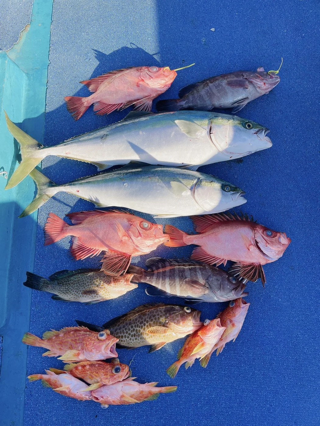 2024年01月28日掲載の釣行記録の写真