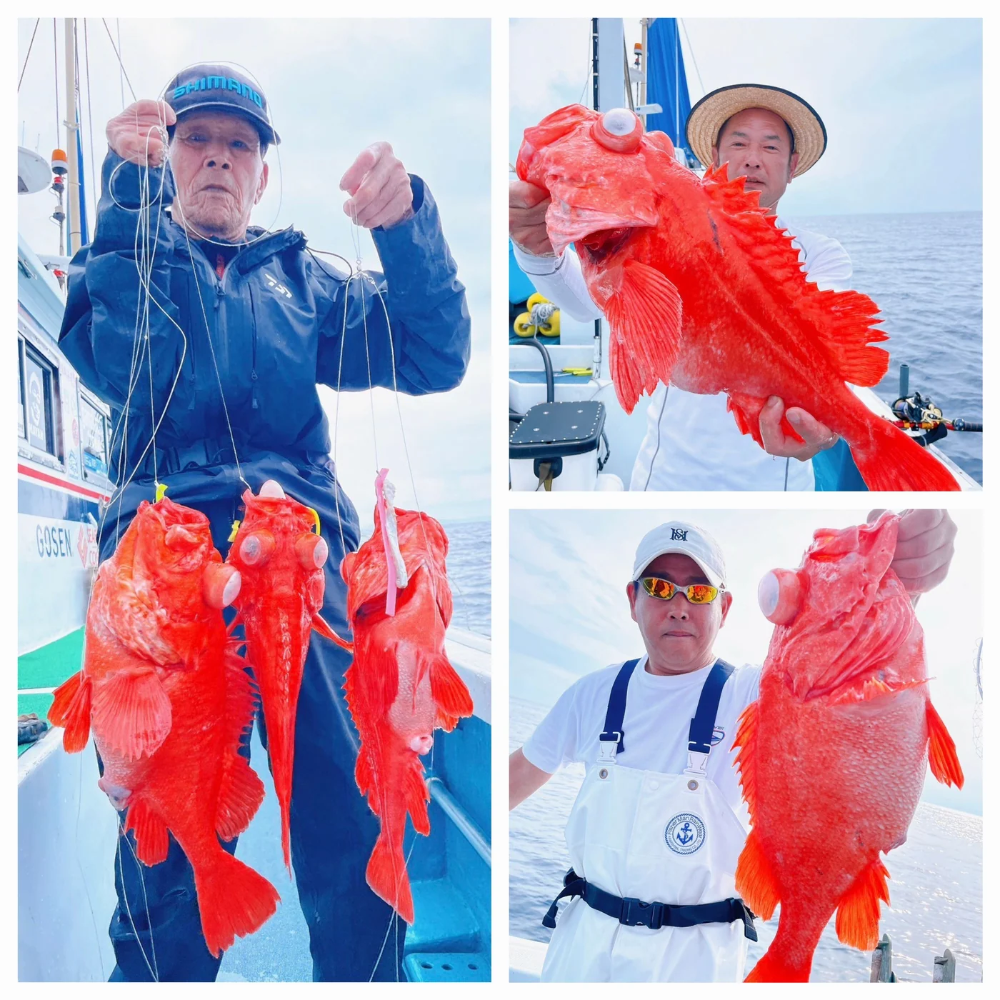 2024年06月03日掲載の釣行記録の写真